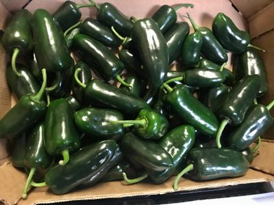 Peper jalapeno groen