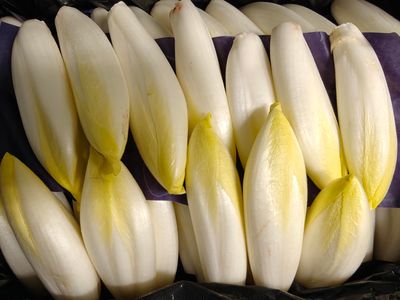 Witloof Belg per 500g