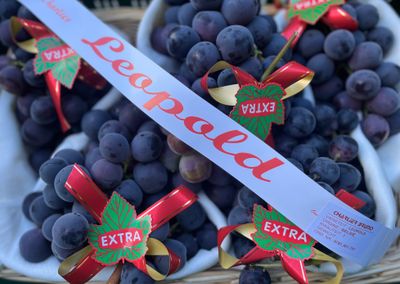 Druiven Belgisch LEOPOLD +-1 kg