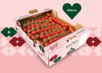 Aromia kerstomaten aan steel per 2 takken