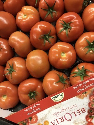 Vleestomaten volle grond 4 stuks BELGISCH