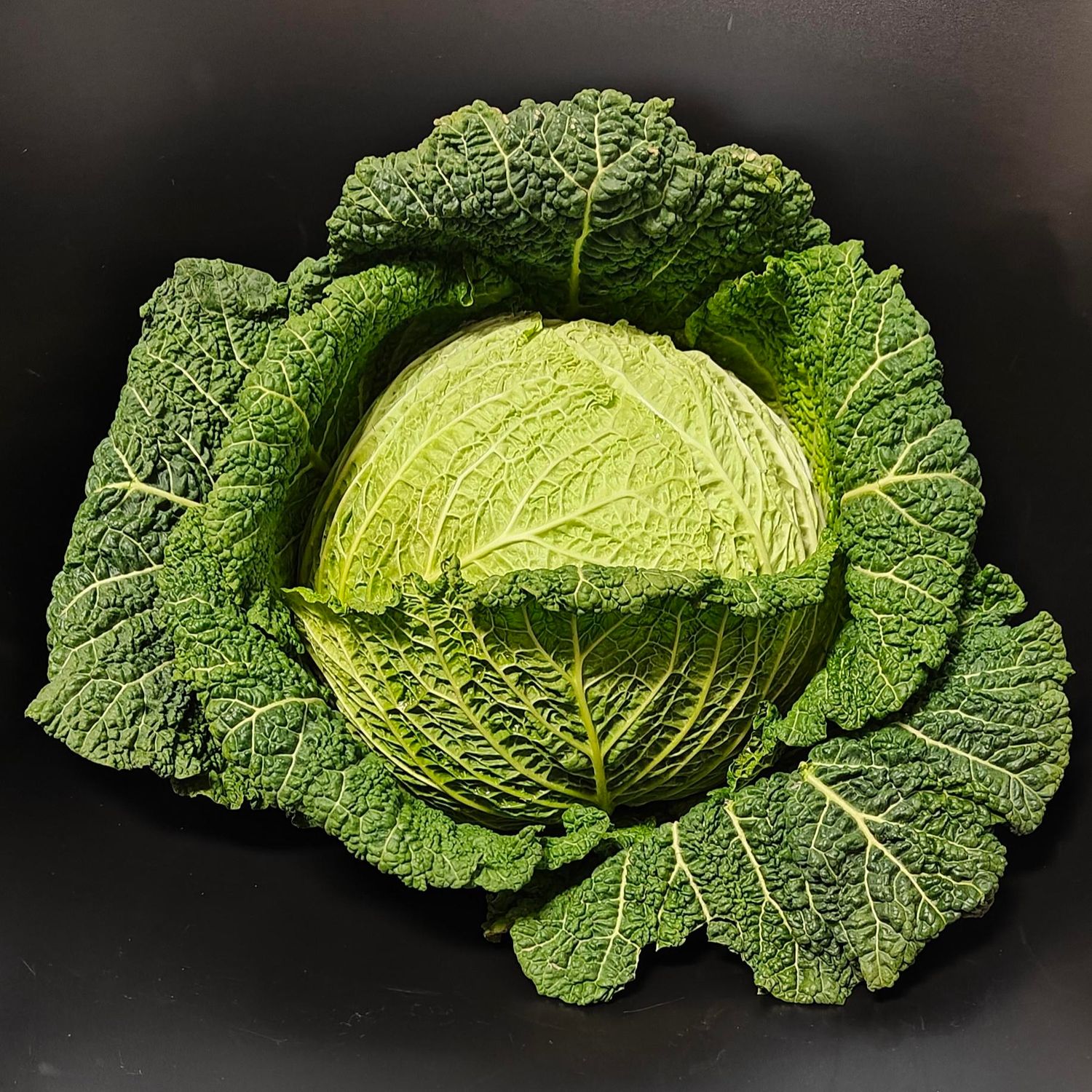 Savooikool groene kool