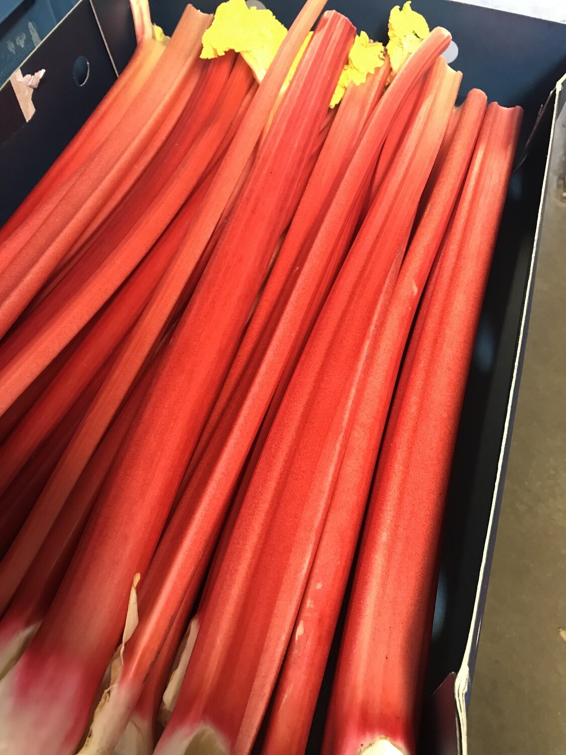 Rabarber per bussel 700 à 800g