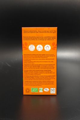 Pukka Tea Elderberry &amp; Echinacea