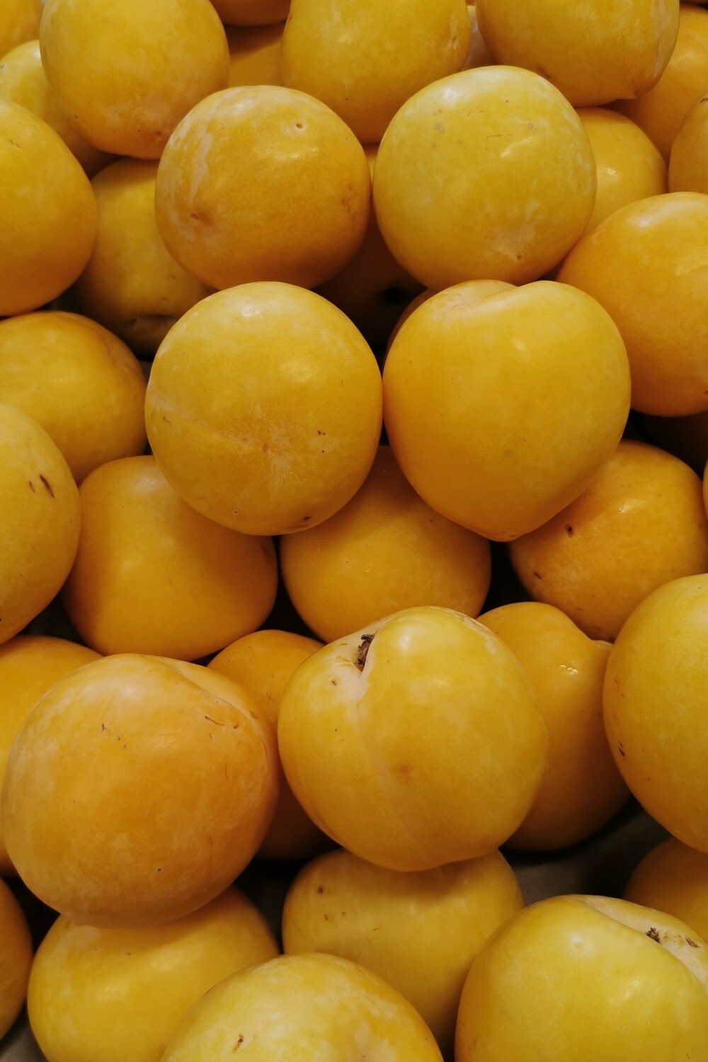 Pruimen Geel 500g