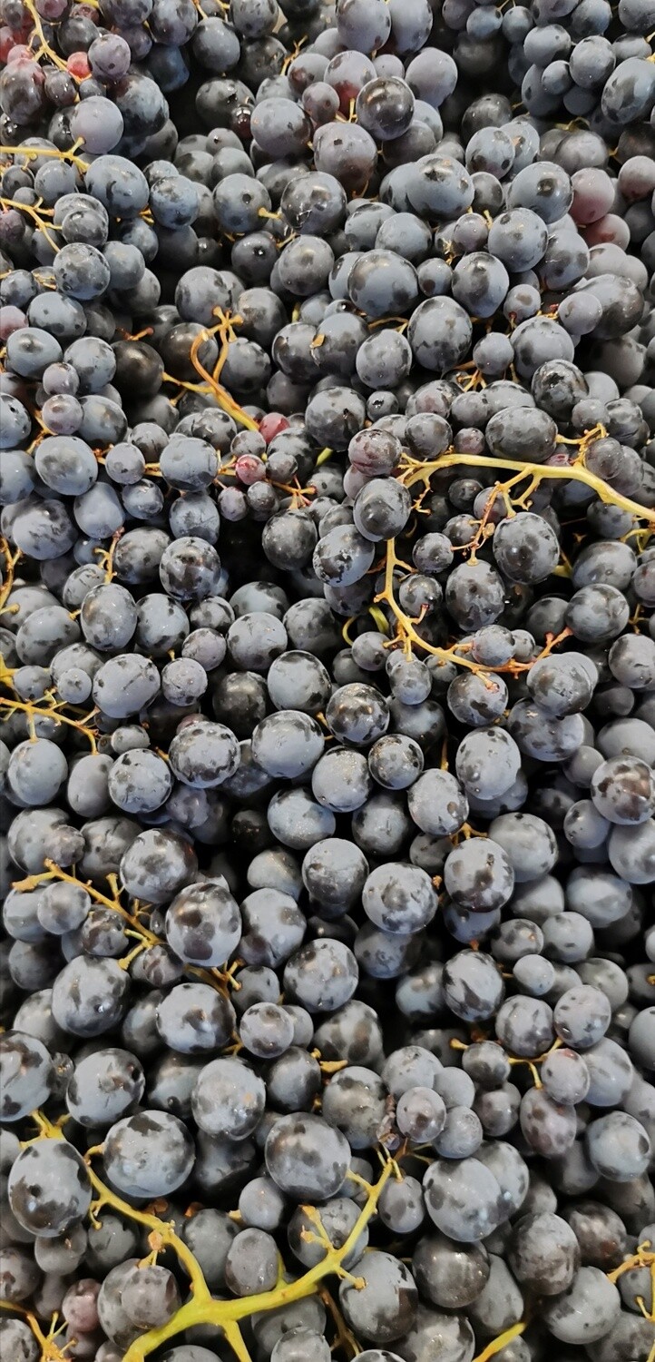 Muscat D'amour druiven per 500g Super zoet