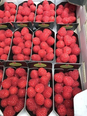 Frambozen KWANZA per potje