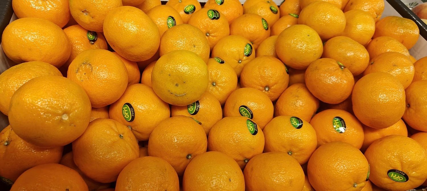 ORRI clementine per 500g