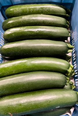 Courgette per stuk