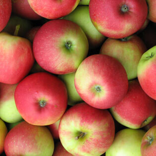 Elstar appels per 4 stuks