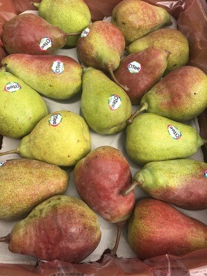 Qtee peren per 4 stuks Spanje