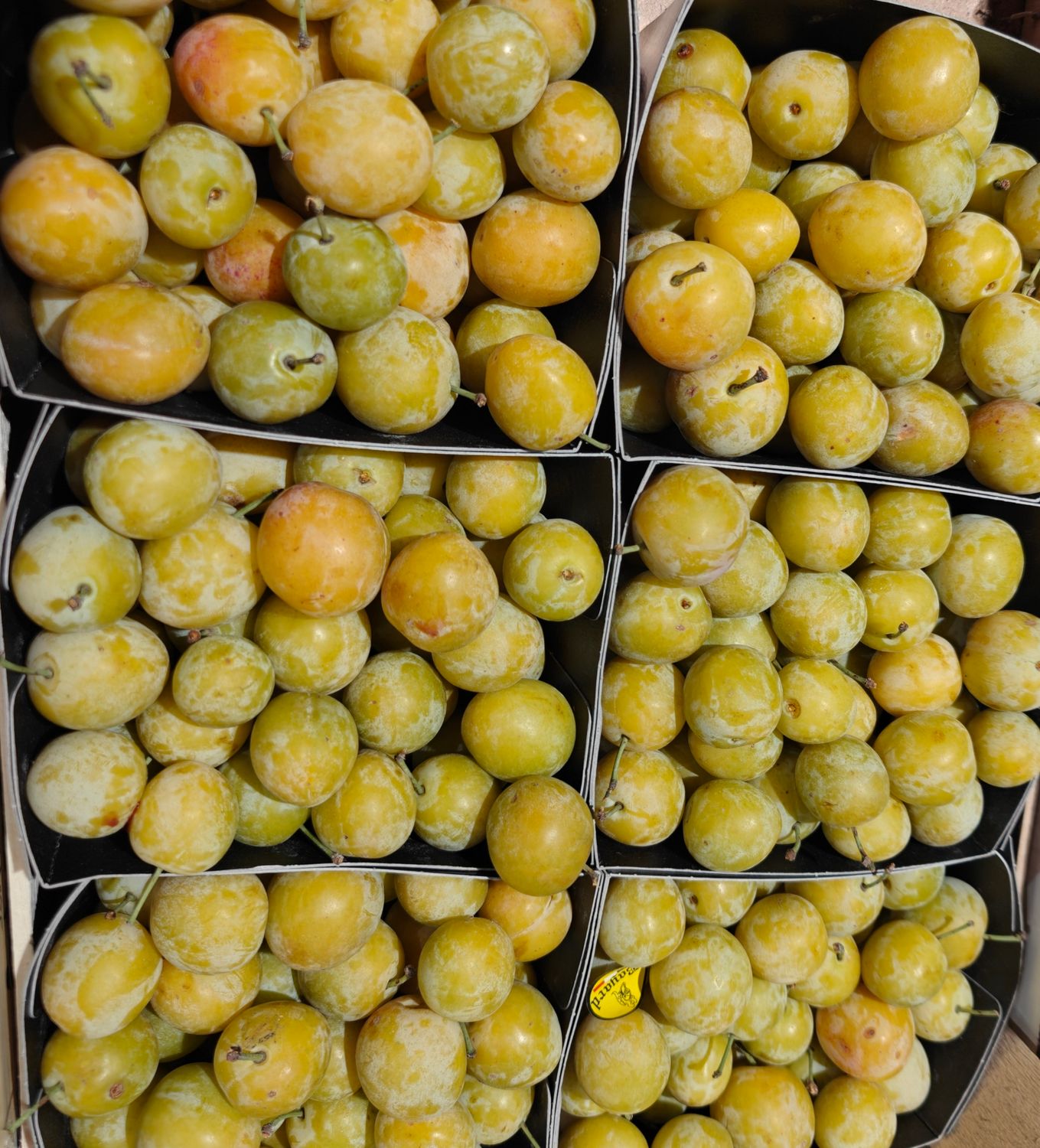 Mirabelle Pruimen 500g