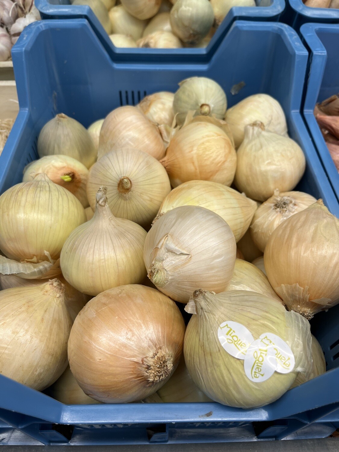 Zoete uien per 500g