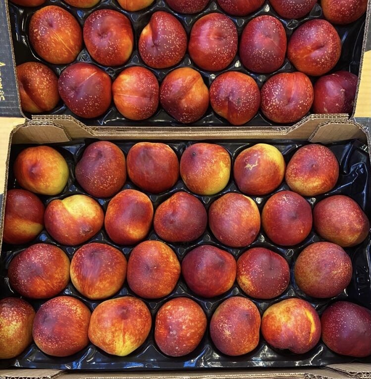 Nectarine WIT per 4 stuks SPANJE