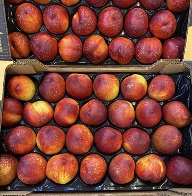 Nectarine WIT per 4 stuks SPANJE