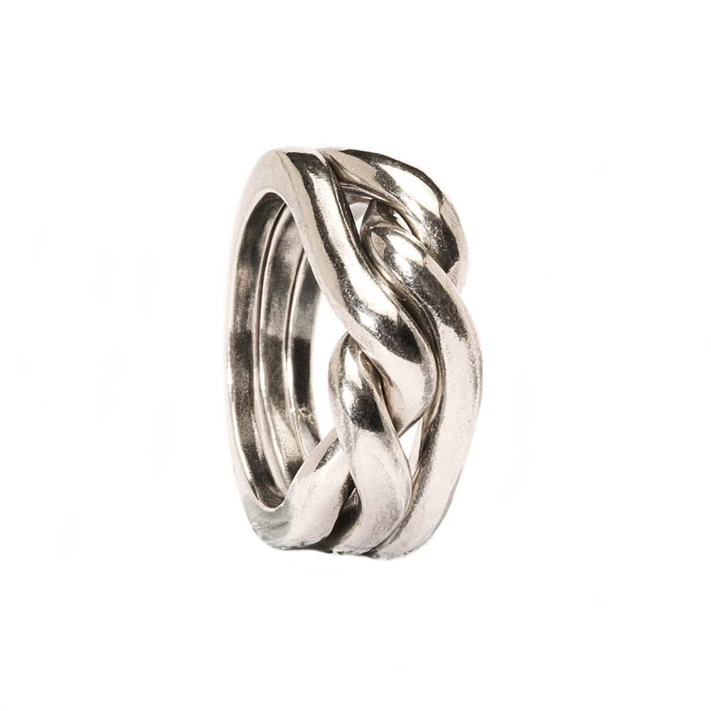 Trollbeads Kracht. moed en wijsheid TAGRI-00173 Trollbeads Kracht. moed en wijsheid TAGRI-00173
