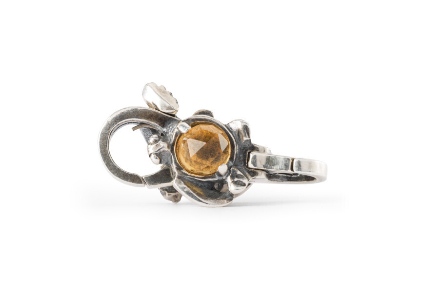 Trollbeads Schildpad slot TAGLO-00118