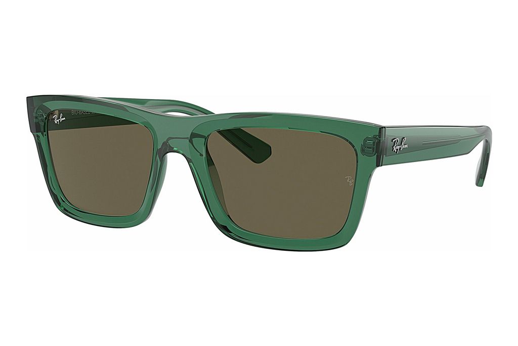 Ray-Ban 0RB4396