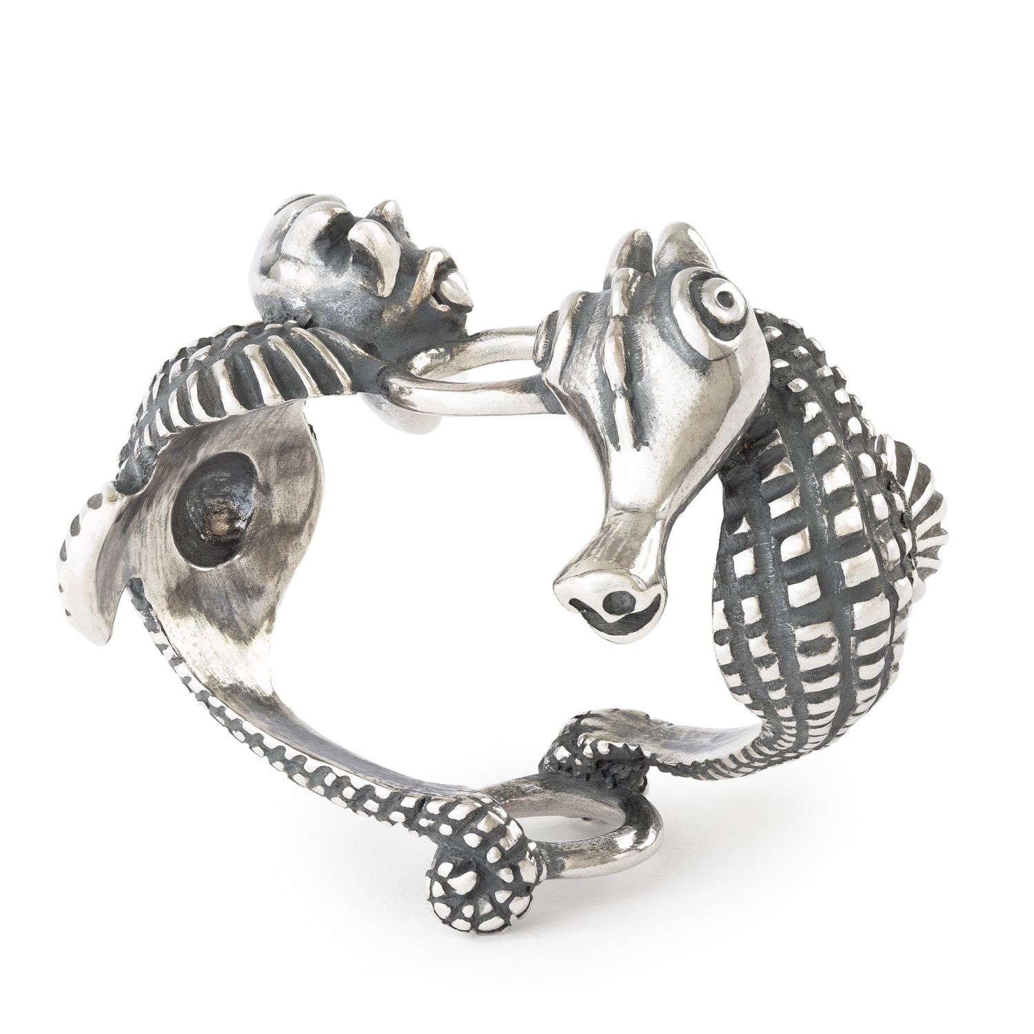 Trollbeads Hanger Van Oceaanwachters TAGPE-00098