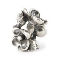 Trollbeads Bloemblaadjes van dankbaarheid