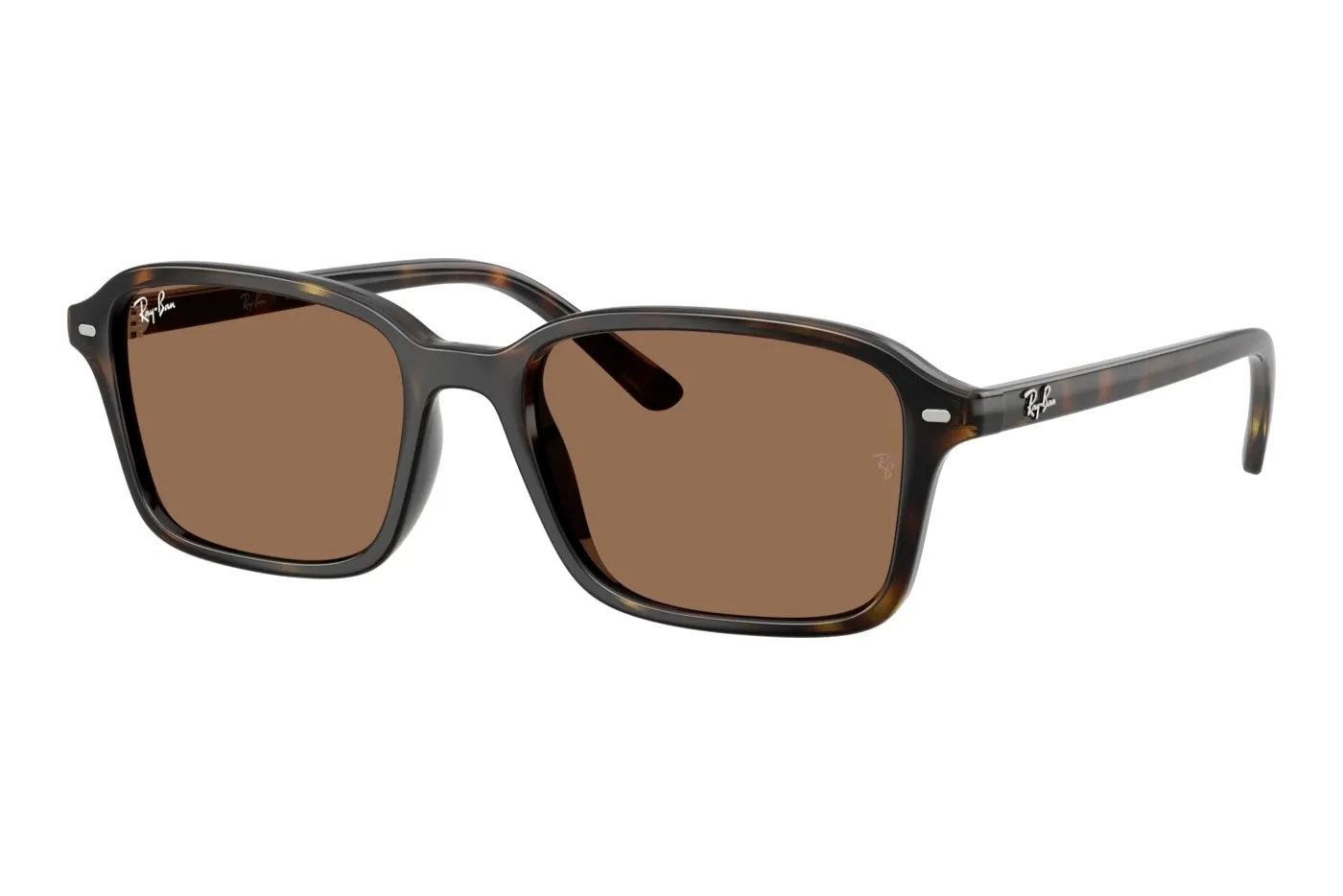 Ray-Ban 0RJ9131S