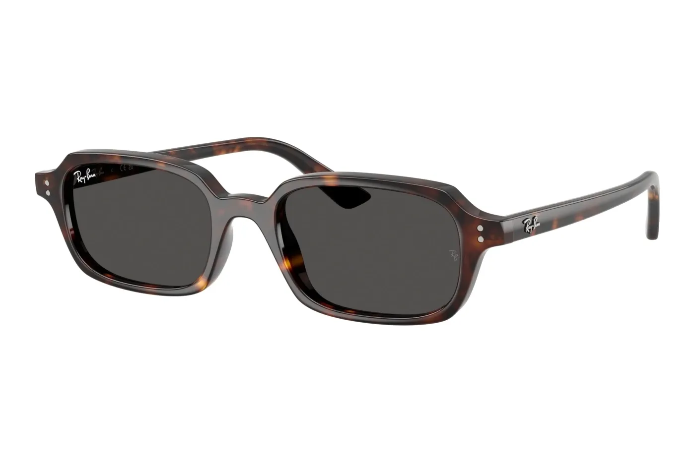Ray-Ban 0RB4455