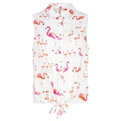 Esqualo Flamingo bloes