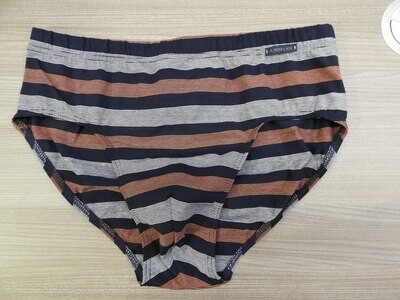 Ammann Heren Slip: Midi model ( Gots Sport )