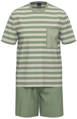 Ammann Heren Pyjama: Korte mouw / short, Groen gestreept, Light cotton