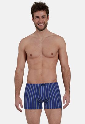 Gotzburg Boxershort: Blauw gestreept