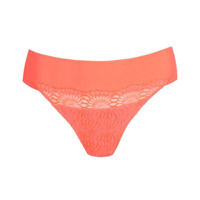 Prima Donna String: Sophora,  Spritz,