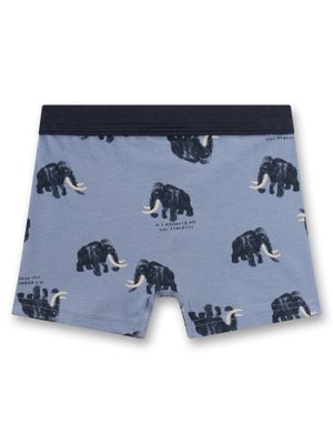 Sanetta Jongens boxer: Mamoet