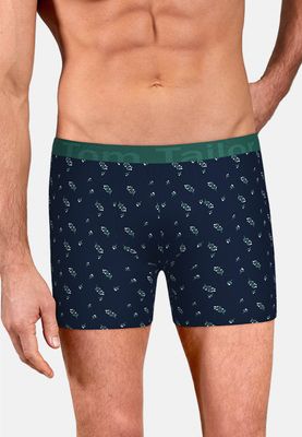 Tom Tailor Boxer Short: Long Pants, Duopack