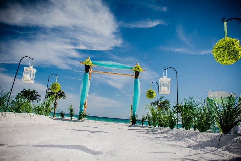 Customize Your Own Bamboo Wedding Package starting at