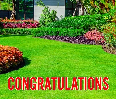 Congratulations Yard Letters