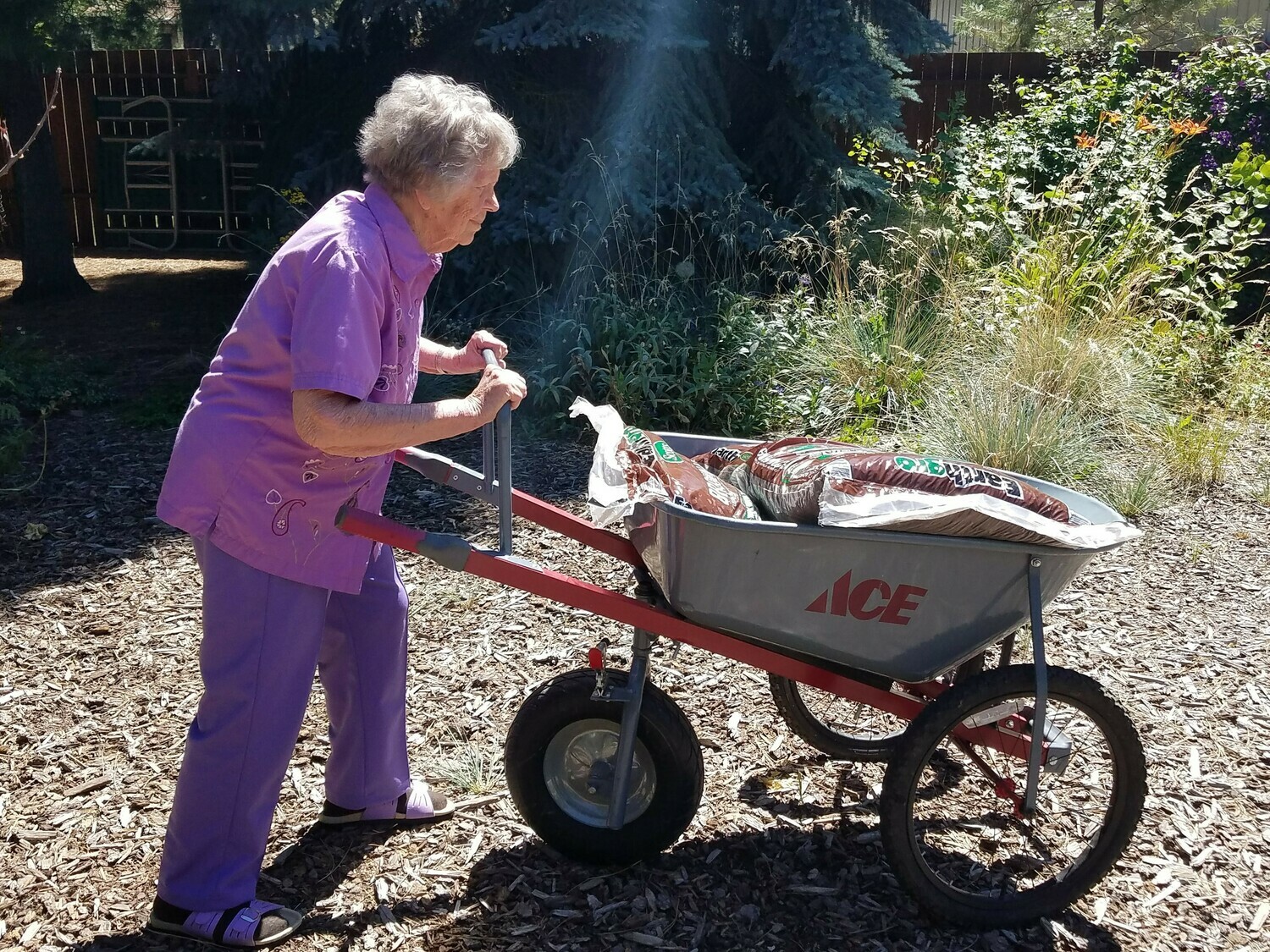 Standard Miracle Wheel Barrow