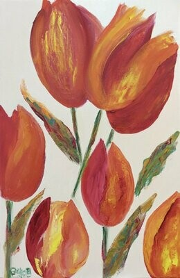 Tulipes Rouges et Oranges