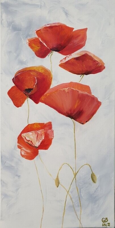 Coquelicots du Printemps