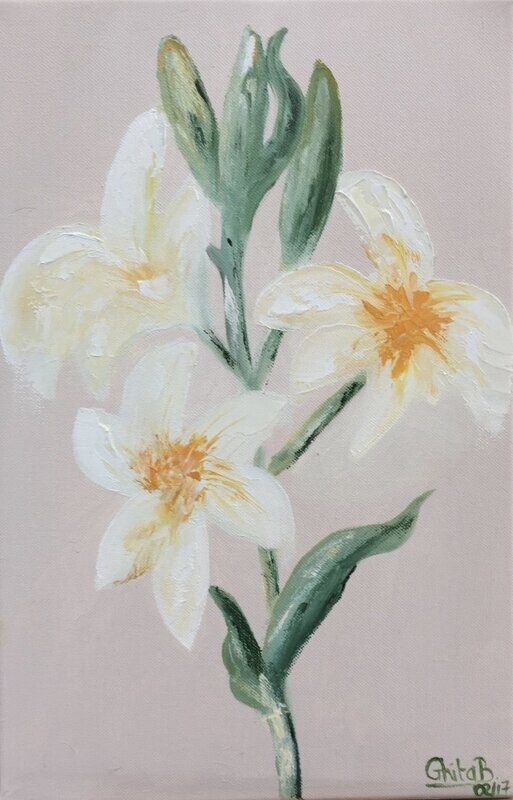 Lys Blanc