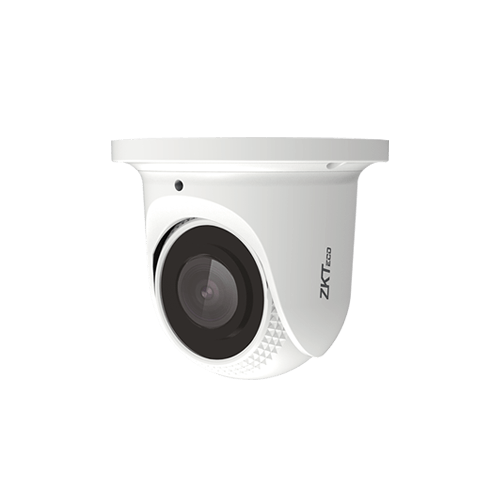 ZK 4MP IP Eyeball Camera ES-854N22C