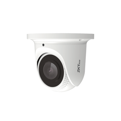 ZK 4MP IP Eyeball Camera ES-854N22C