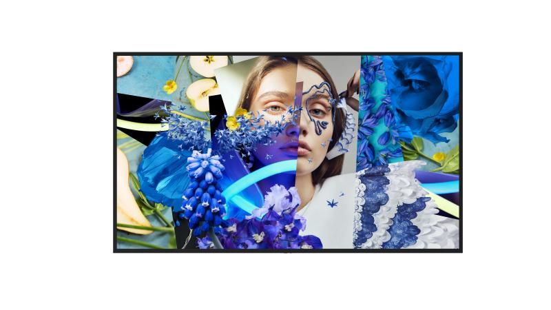 HIK 55" Slim Digital Signage DS-D6055UN-DP