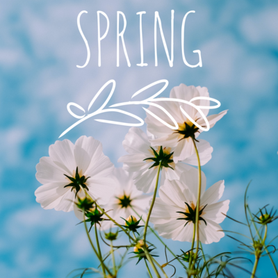 Spring