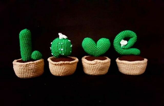 Amigurumi Kaktüs
