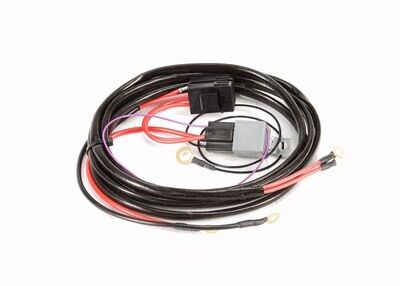 PROCESS WEST - Anti-Surge Twin Pump Fuel System Wiring Harness (suits Ford Falcon BA/BF)