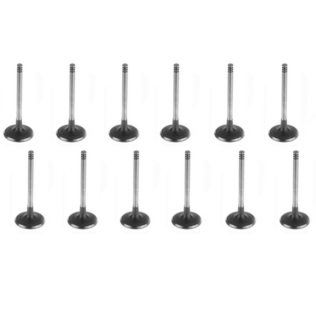 FORD BARRA 4.0L 6Cyl INLET VALVE SET - BA BF FG FGX