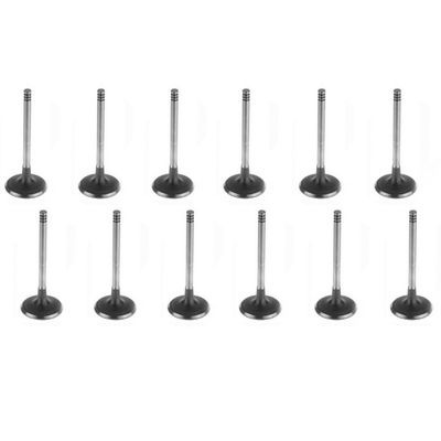 FORD BARRA 4.0L 6Cyl INLET VALVE SET - BA BF FG FGX