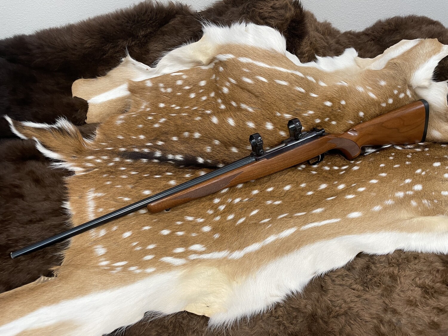 Best 22 Hornet Rifle A Top Choice for Hunters and Shooters