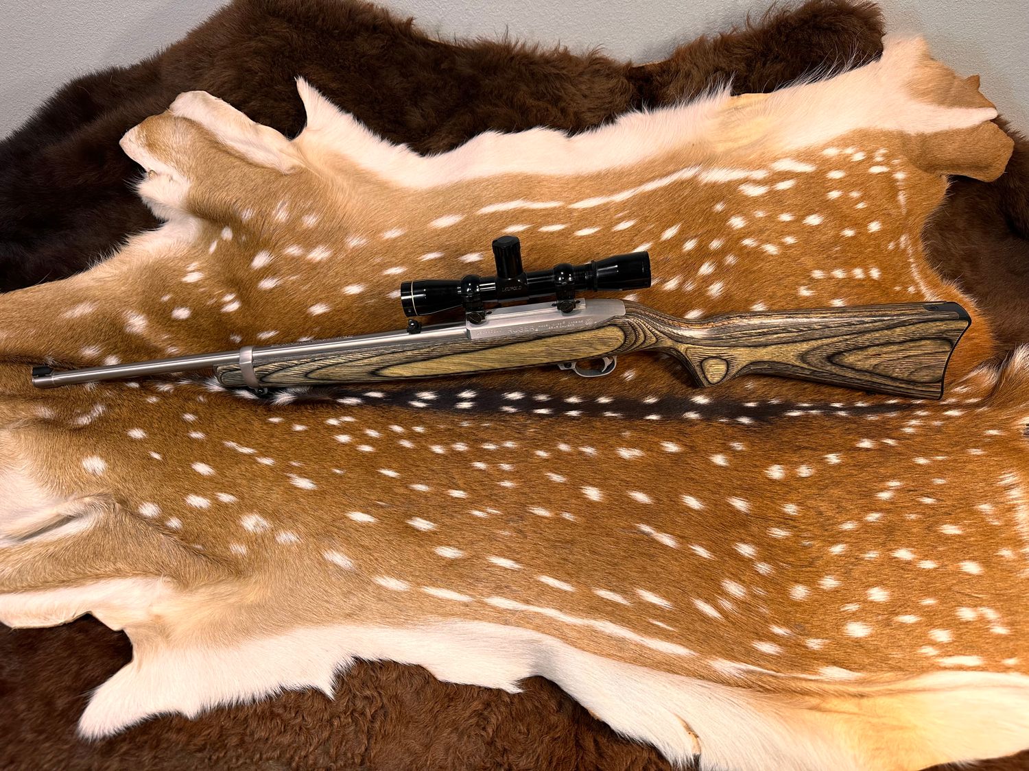 Ruger 10/22 Carbine Rifle .22 LR with Scope