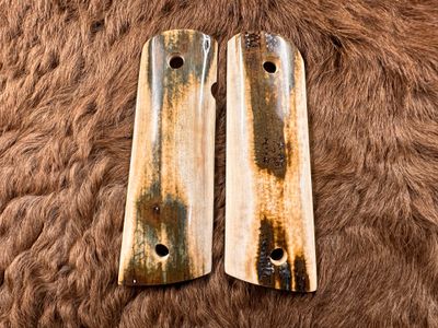 Magwell Mammoth Ivory Grips for 1911